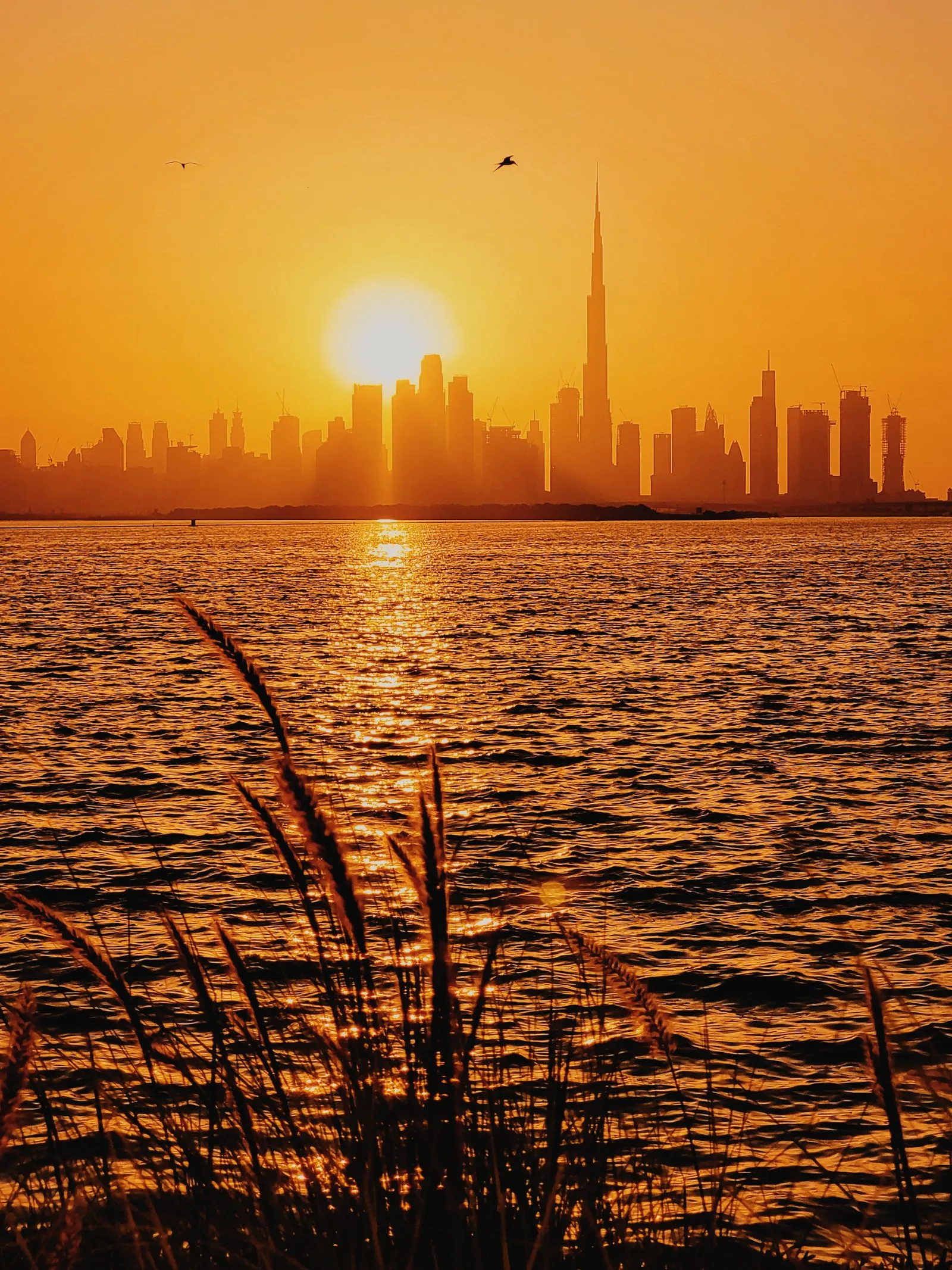 Skyline de Dubaï au coucher de soleil